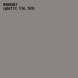 #898681 - Natural Gray Color Image