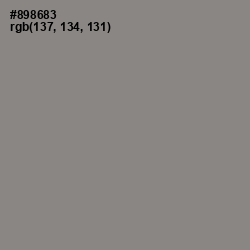 #898683 - Natural Gray Color Image