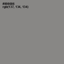 #898686 - Suva Gray Color Image