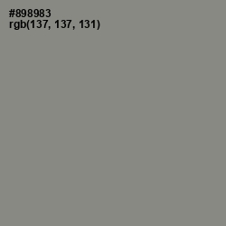 #898983 - Natural Gray Color Image