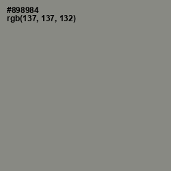 #898984 - Natural Gray Color Image