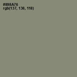 #898A76 - Granite Green Color Image
