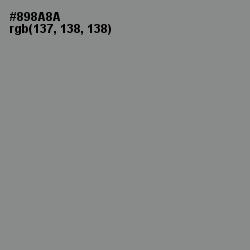 #898A8A - Stack Color Image