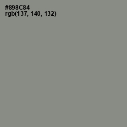 #898C84 - Stack Color Image