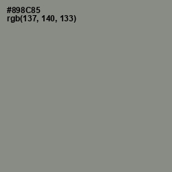 #898C85 - Stack Color Image