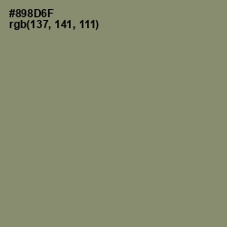 #898D6F - Avocado Color Image
