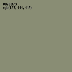 #898D73 - Granite Green Color Image