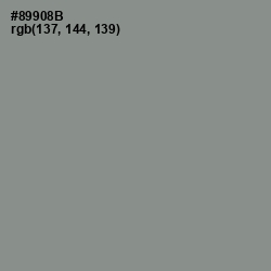 #89908B - Spanish Green Color Image