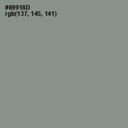 #89918D - Spanish Green Color Image