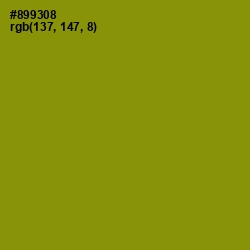 #899308 - Olive Color Image