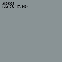 #899395 - Regent Gray Color Image