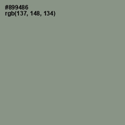 #899486 - Spanish Green Color Image