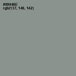 #89948E - Spanish Green Color Image