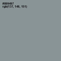 #899497 - Regent Gray Color Image