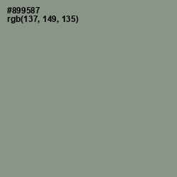 #899587 - Spanish Green Color Image