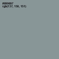 #899697 - Regent Gray Color Image