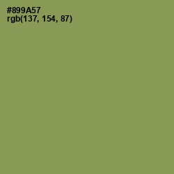 #899A57 - Chelsea Cucumber Color Image