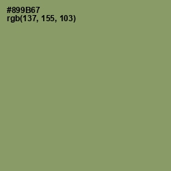 #899B67 - Avocado Color Image
