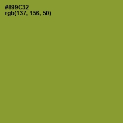 #899C32 - Sycamore Color Image