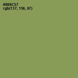 #899C57 - Chelsea Cucumber Color Image