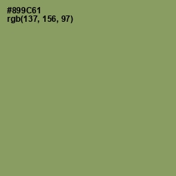 #899C61 - Avocado Color Image