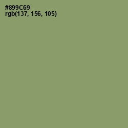 #899C69 - Avocado Color Image