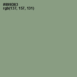 #899D83 - Spanish Green Color Image