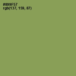 #899F57 - Chelsea Cucumber Color Image