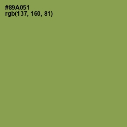 #89A051 - Chelsea Cucumber Color Image