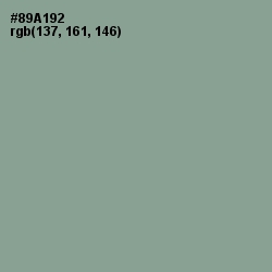 #89A192 - Envy Color Image