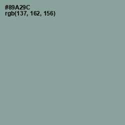 #89A29C - Envy Color Image
