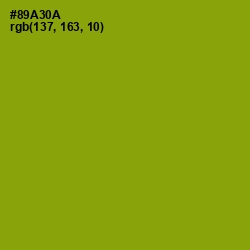 #89A30A - Citron Color Image