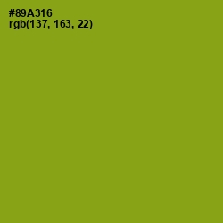 #89A316 - Citron Color Image