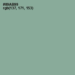 #89AB99 - Envy Color Image