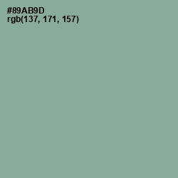 #89AB9D - Envy Color Image