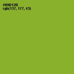 #89B12B - Sushi Color Image