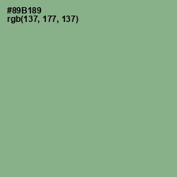 #89B189 - Envy Color Image