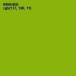 #89B40B - Citron Color Image