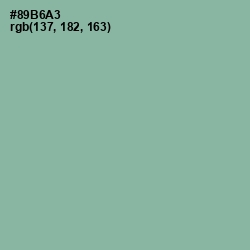 #89B6A3 - Gulf Stream Color Image