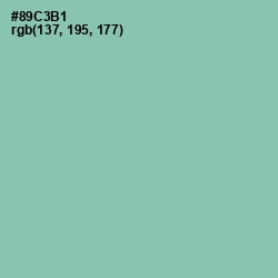 #89C3B1 - Shadow Green Color Image