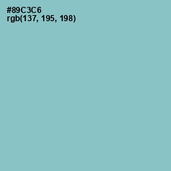 #89C3C6 - Half Baked Color Image
