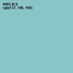 #89C4C6 - Half Baked Color Image