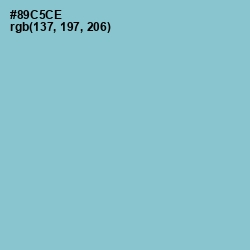 #89C5CE - Half Baked Color Image