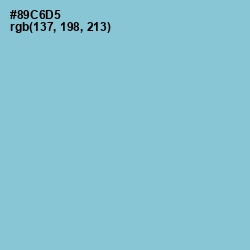 #89C6D5 - Half Baked Color Image