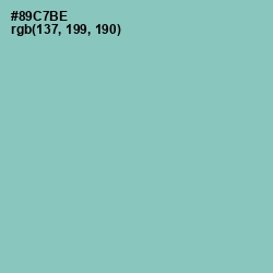 #89C7BE - Shadow Green Color Image