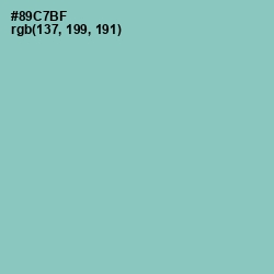 #89C7BF - Shadow Green Color Image