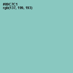 #89C7C1 - Half Baked Color Image