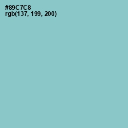 #89C7C8 - Half Baked Color Image