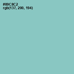 #89C8C2 - Half Baked Color Image