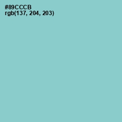 #89CCCB - Half Baked Color Image